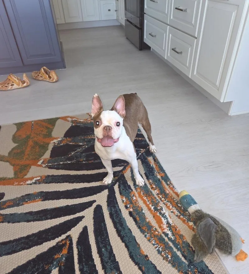 Lily Jean   thumbnail 4