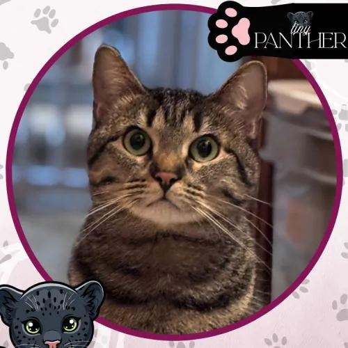 Snuggles thumbnail 2