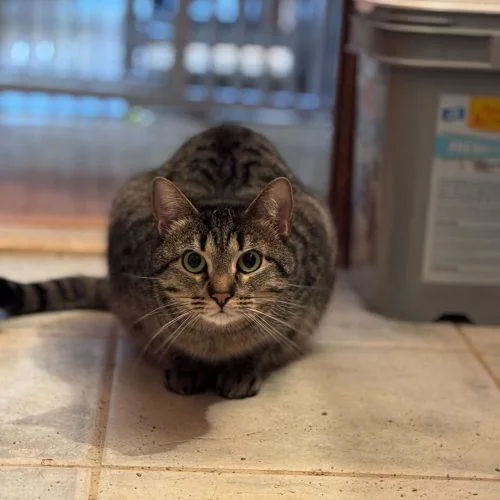 Snuggles thumbnail 3