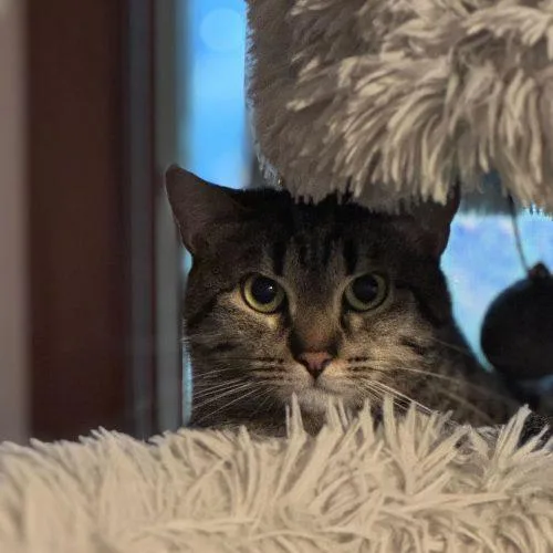 Snuggles thumbnail 4