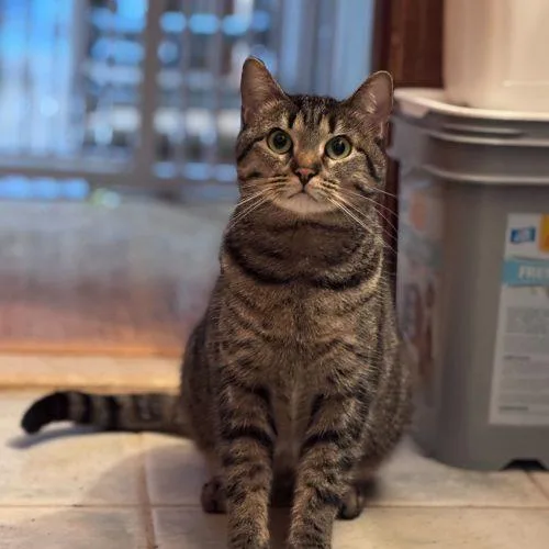 Snuggles thumbnail 5