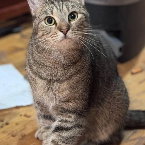 Philharmonic thumbnail 2