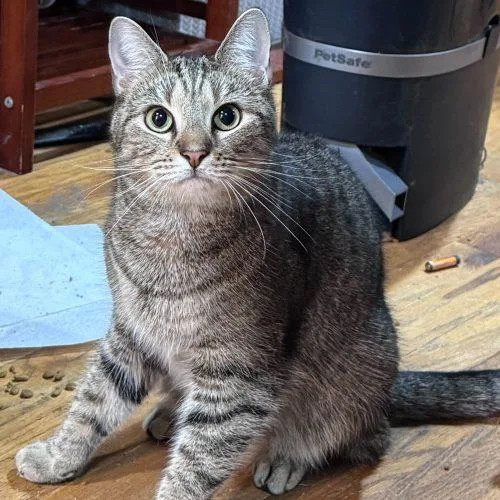 Philharmonic thumbnail 4