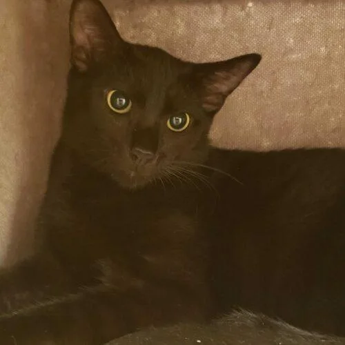 Thompson thumbnail 2