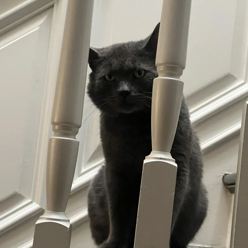 Plumley Bruce thumbnail 2