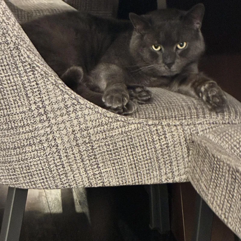 Plumley Bruce thumbnail 3