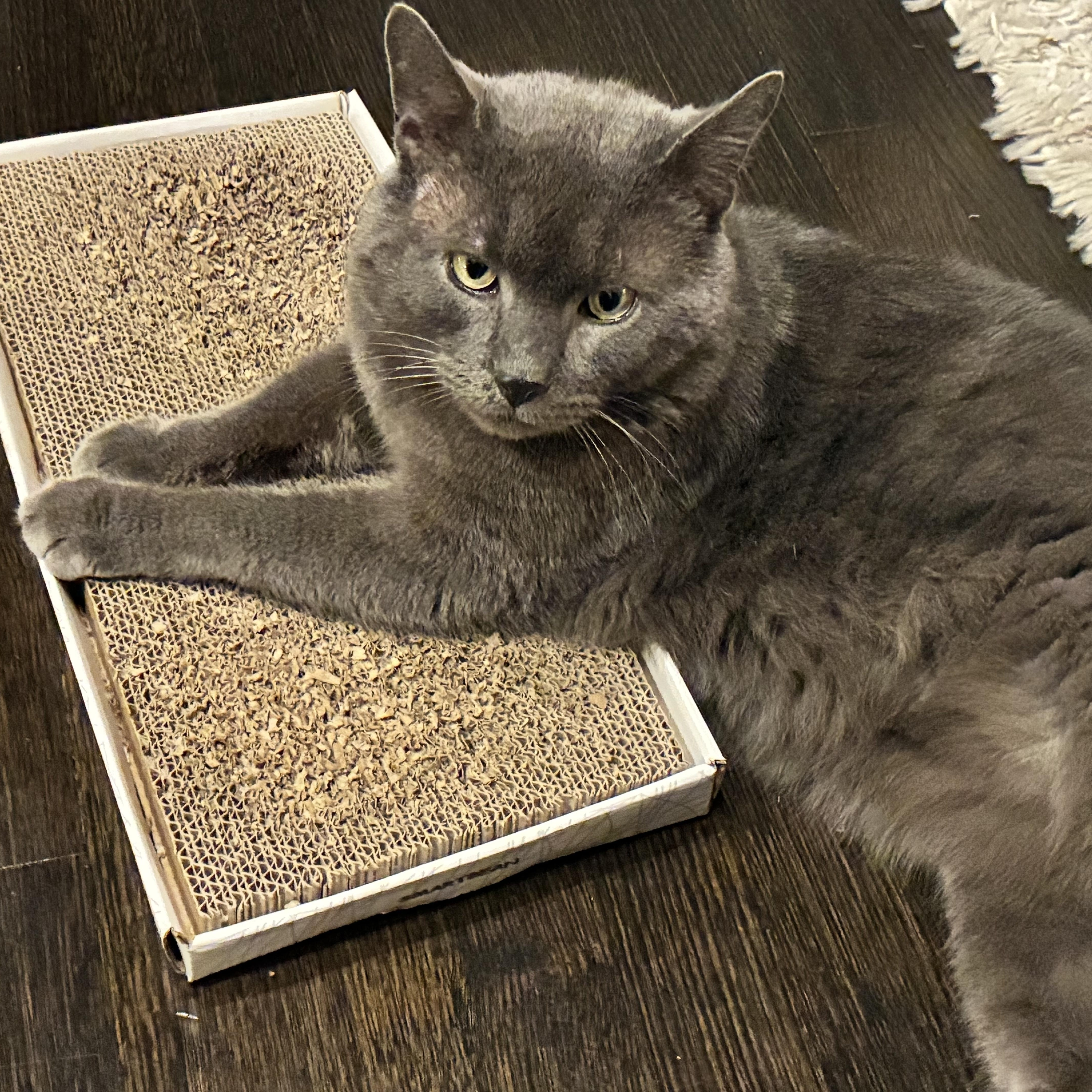 Plumley Bruce thumbnail 4