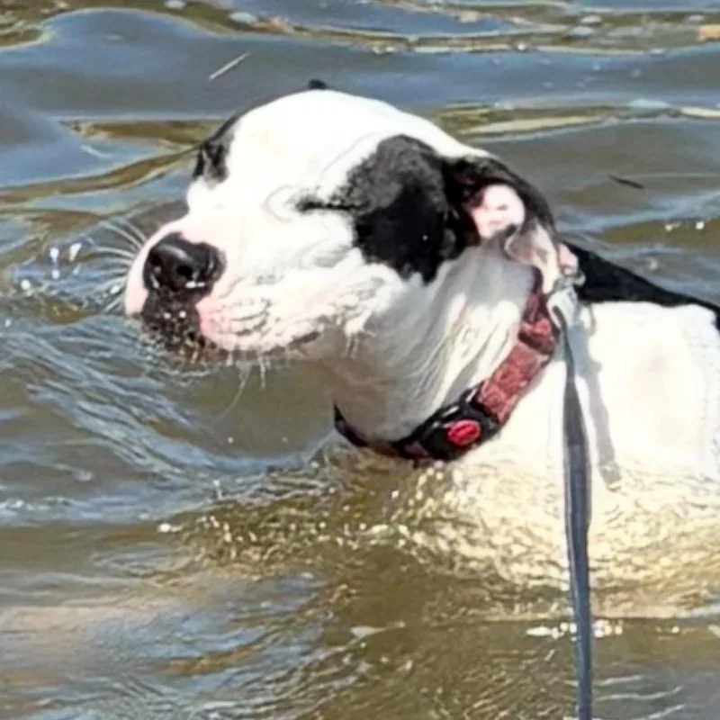 Mercedes thumbnail 2