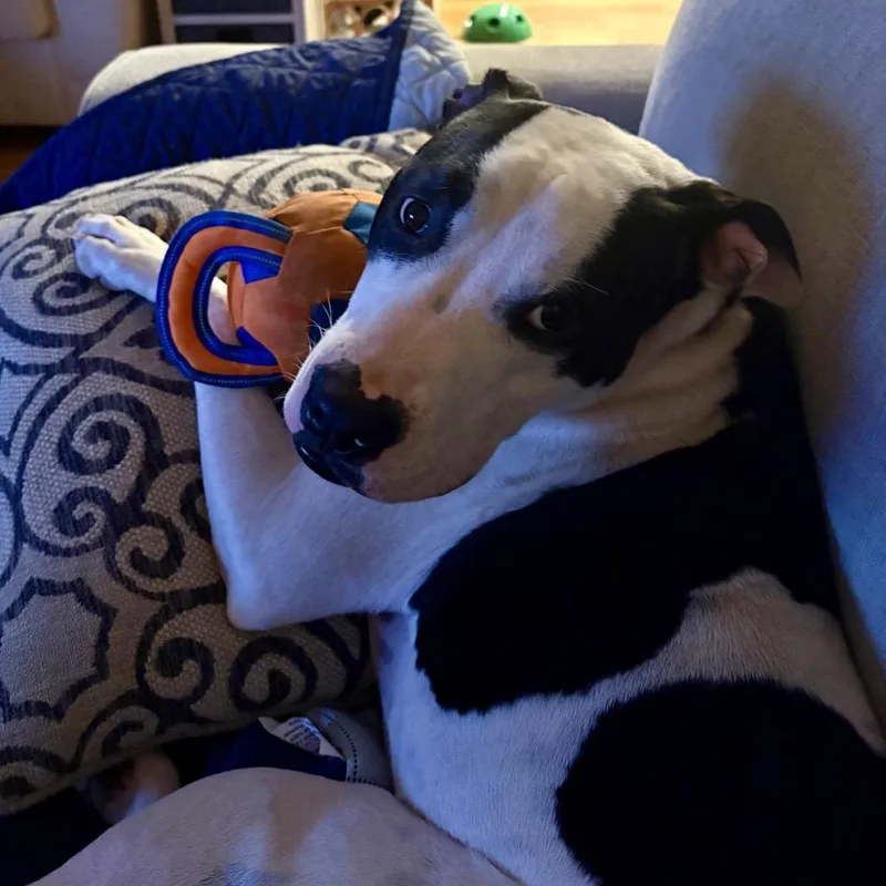 Mercedes thumbnail 3