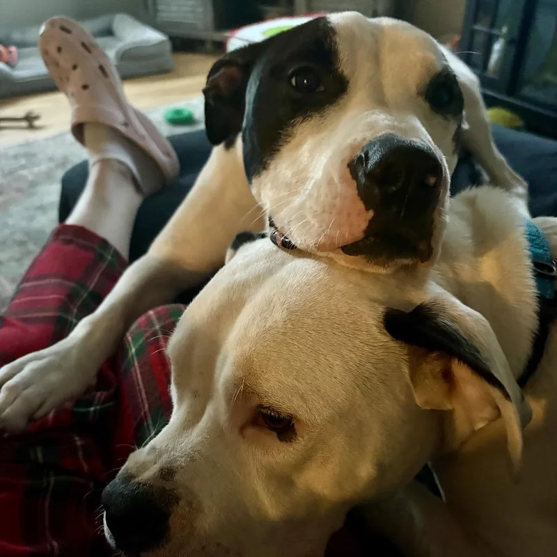 Mercedes thumbnail 5