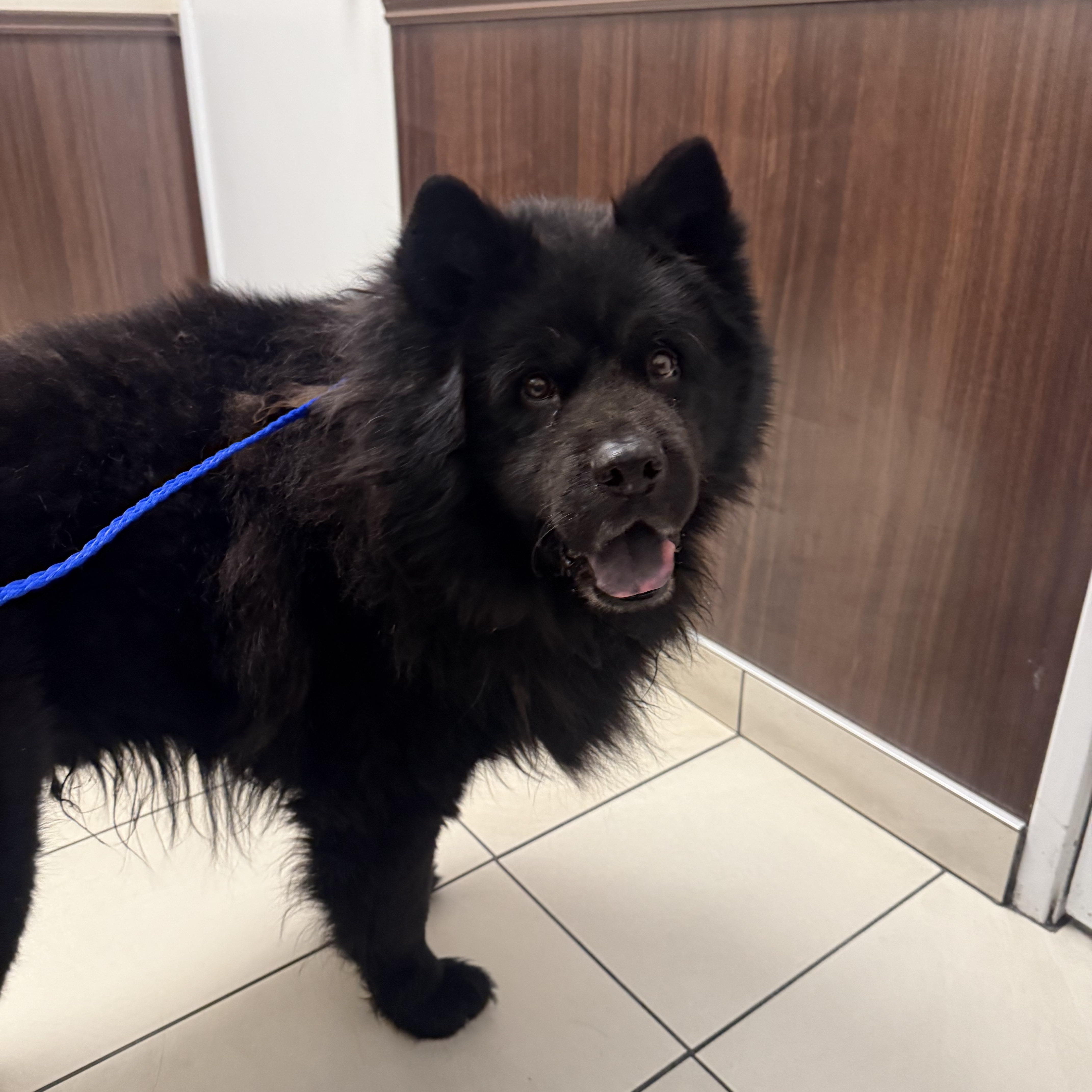 Squeezie Buns photo 1