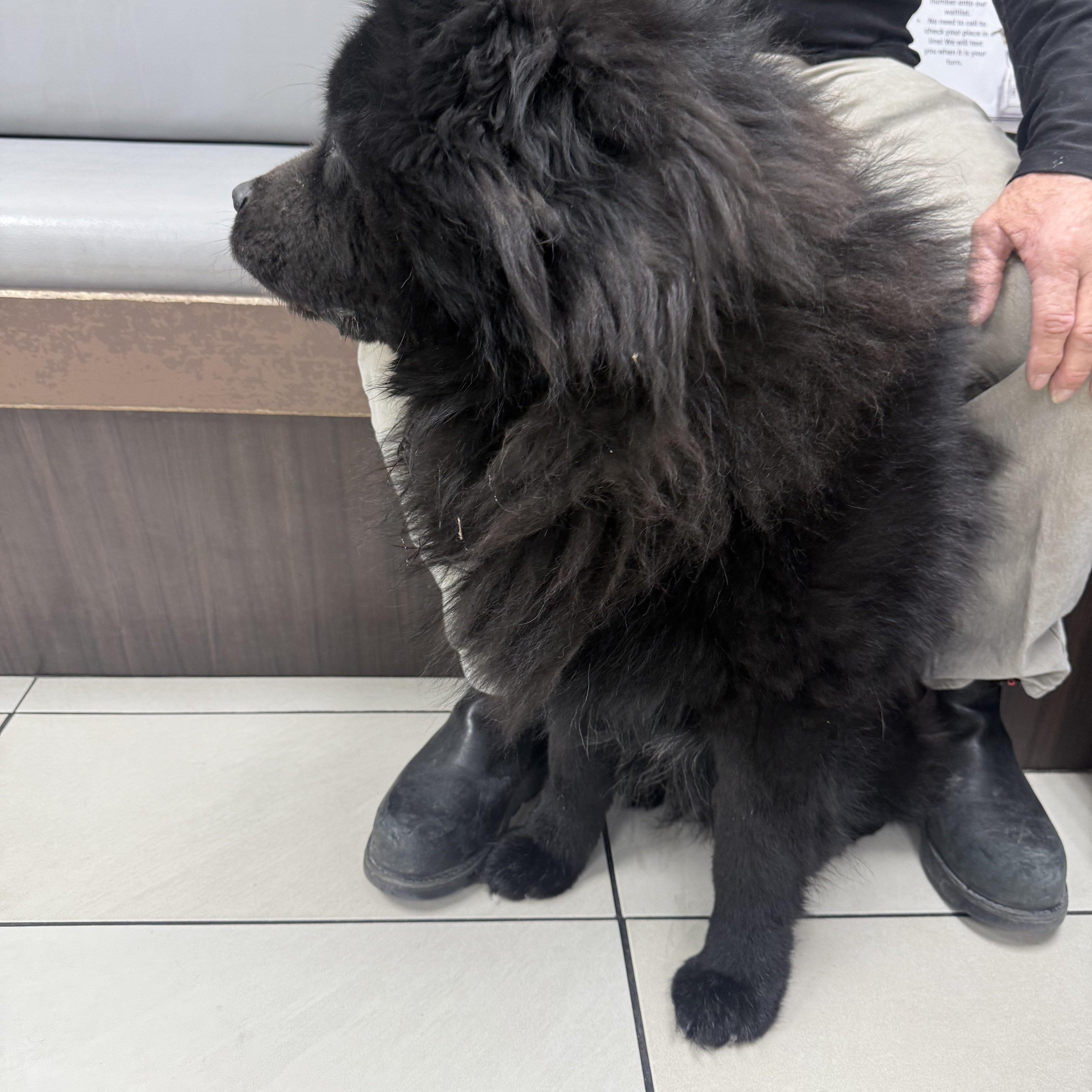 Squeezie Buns thumbnail 2