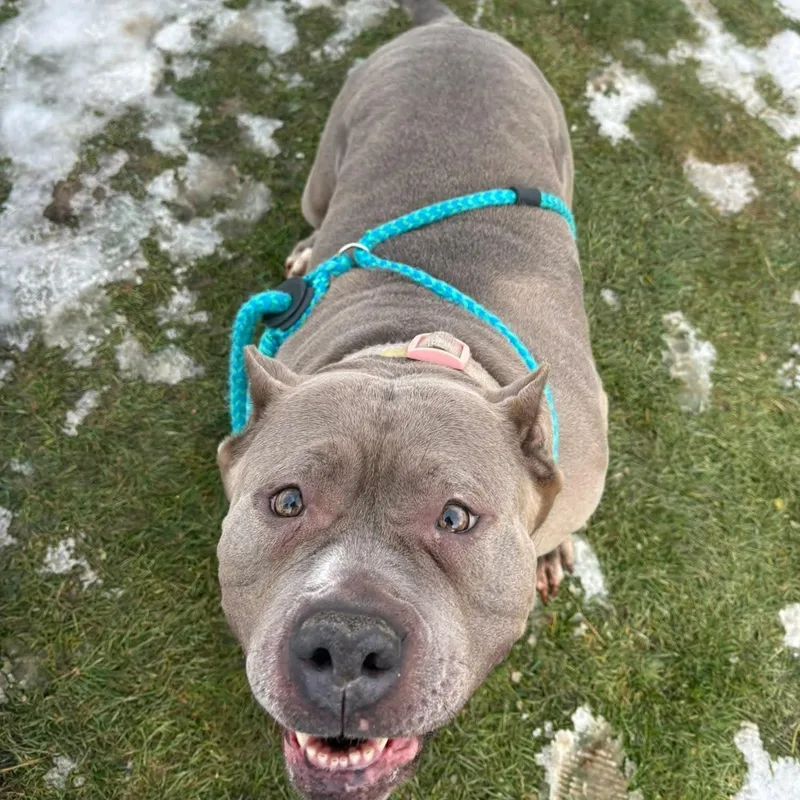 Marianne thumbnail 2