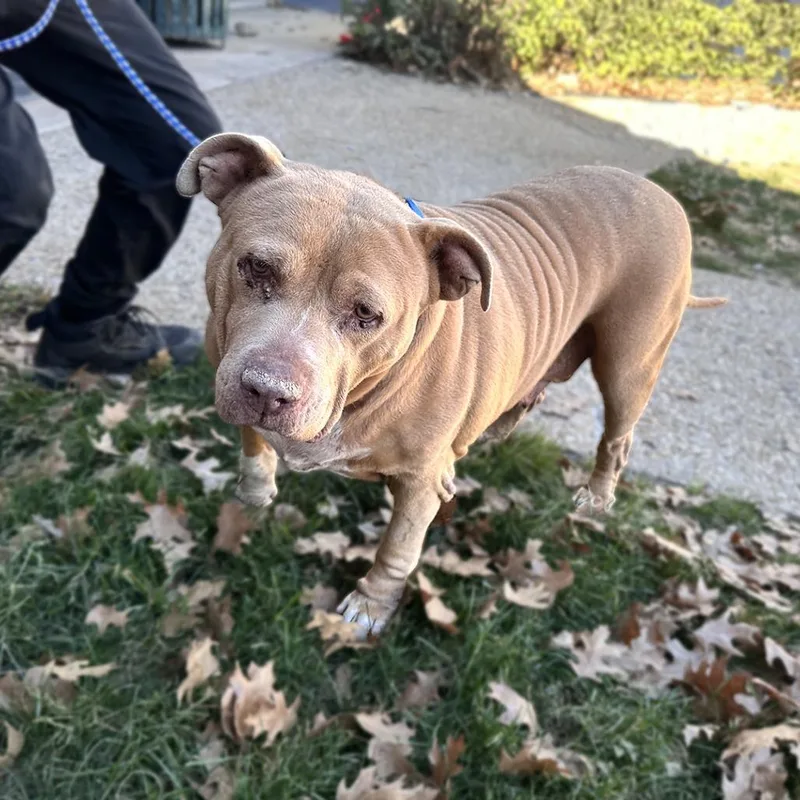 Ellie Belly thumbnail 2