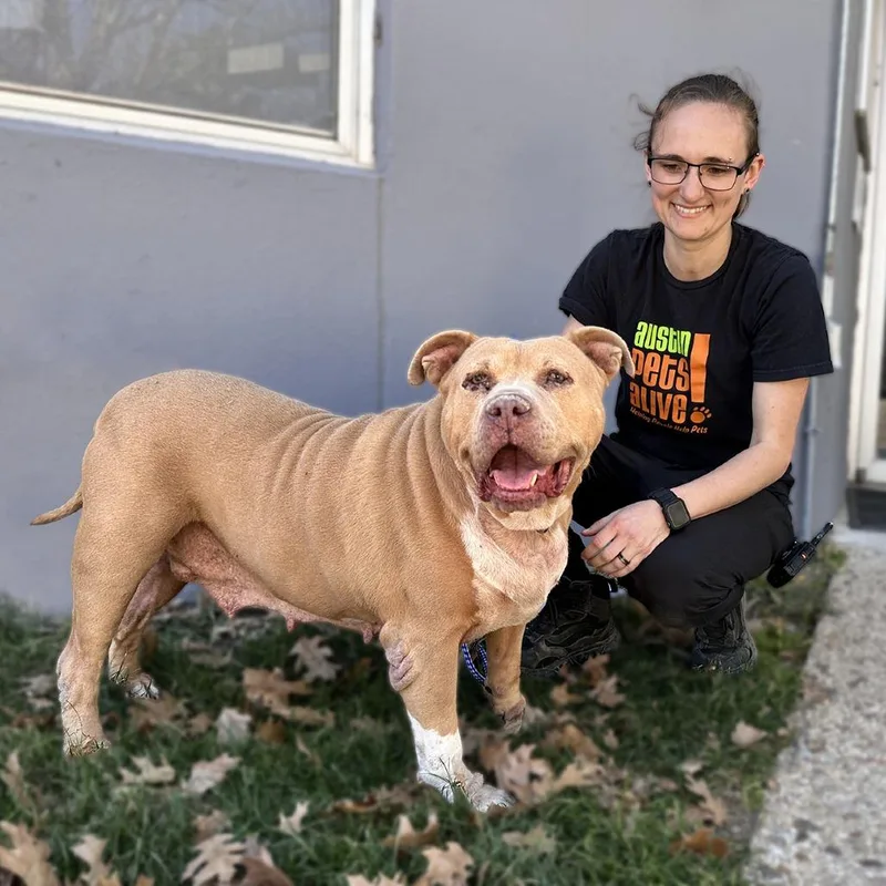 Ellie Belly thumbnail 3