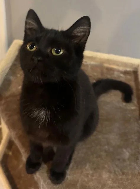 Theodore Finche thumbnail 2