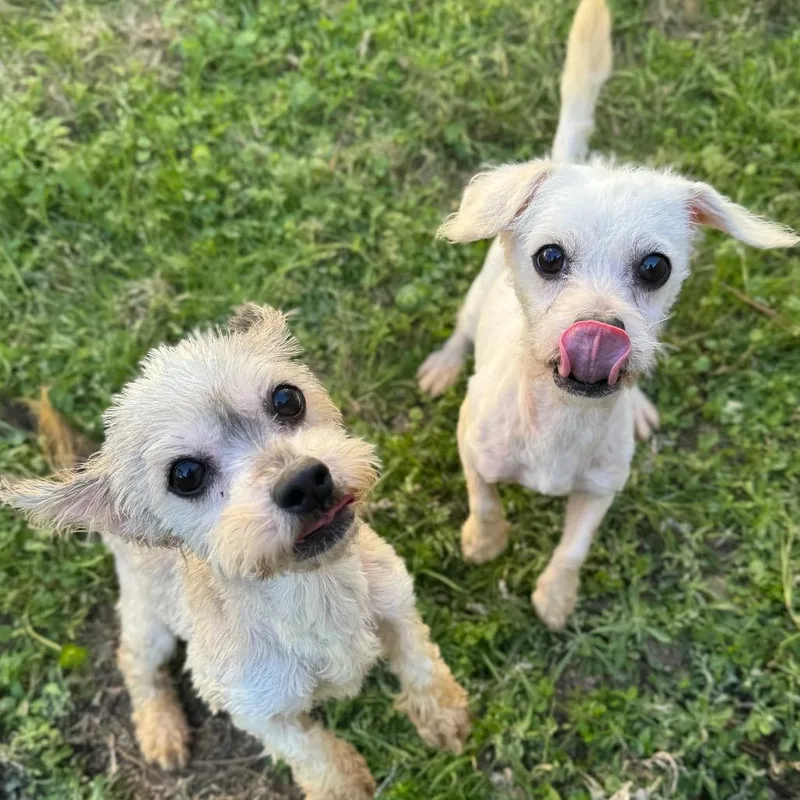 Coco Gutierez thumbnail 2