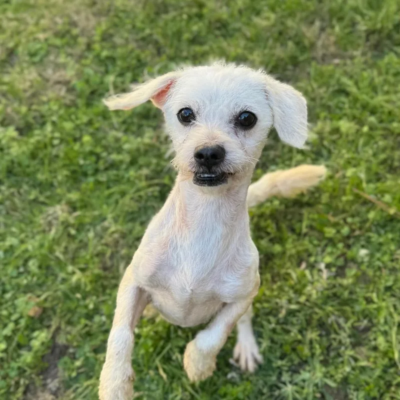 Coco Gutierez thumbnail 3