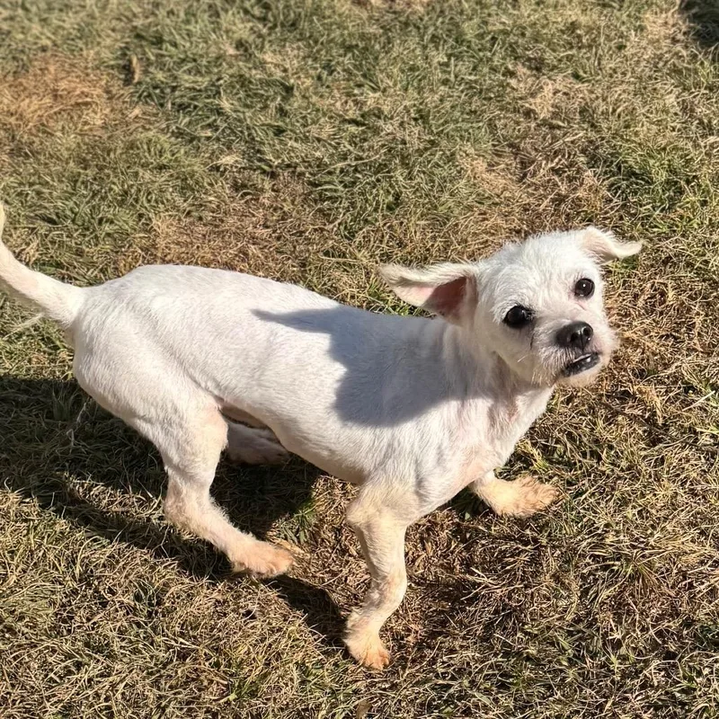 Coco Gutierez thumbnail 4