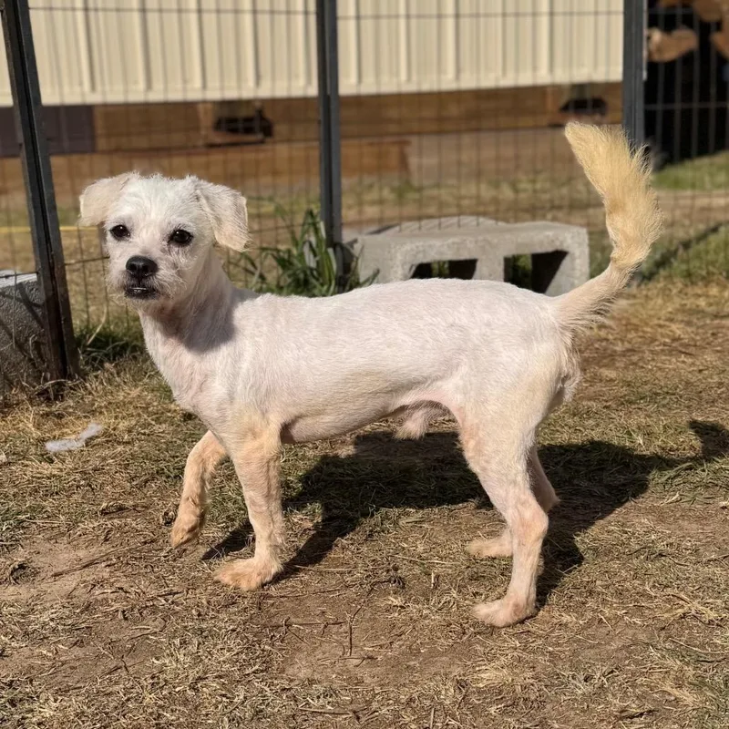 Coco Gutierez thumbnail 5