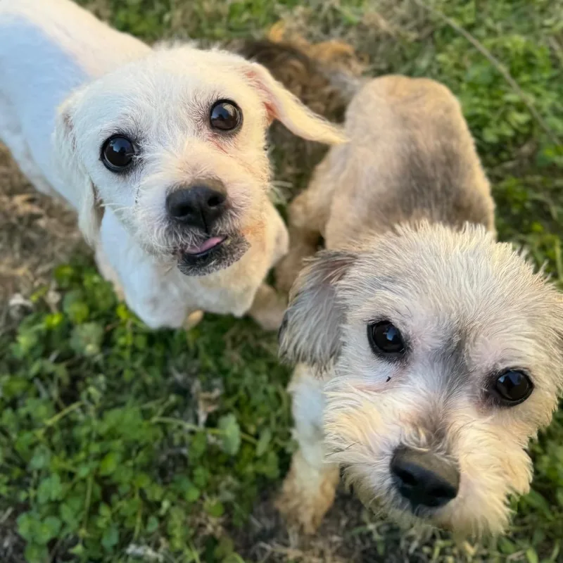 Coco Gutierez thumbnail 6