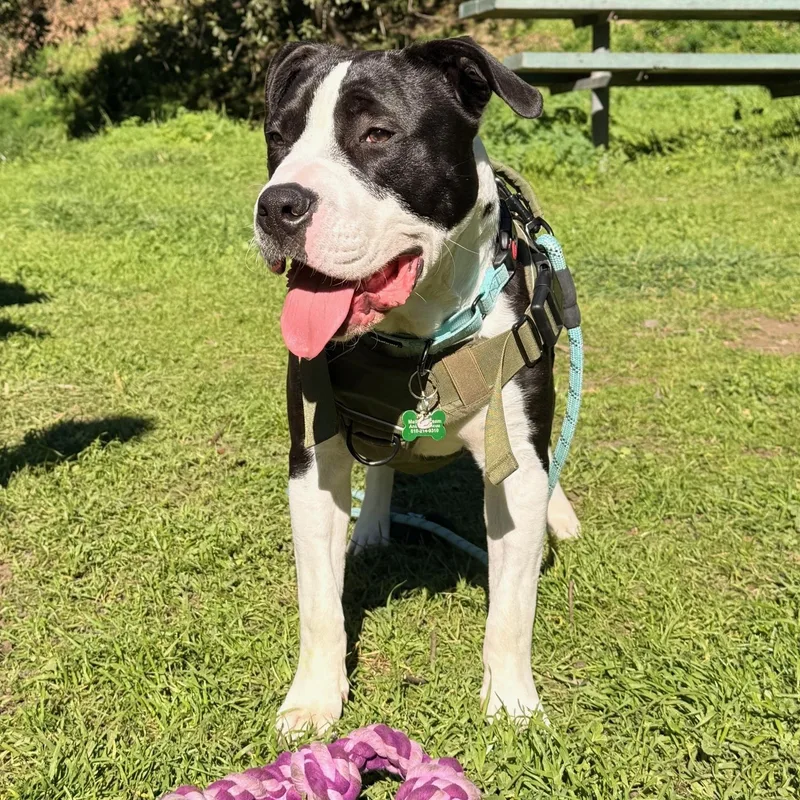 Lil John thumbnail 2