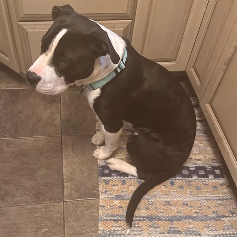 Lil John thumbnail 3