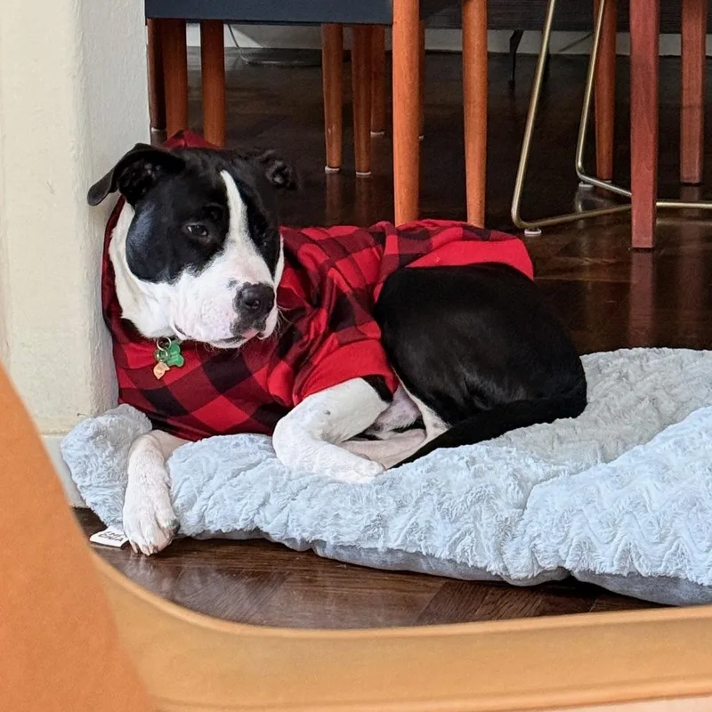 Lil John thumbnail 4