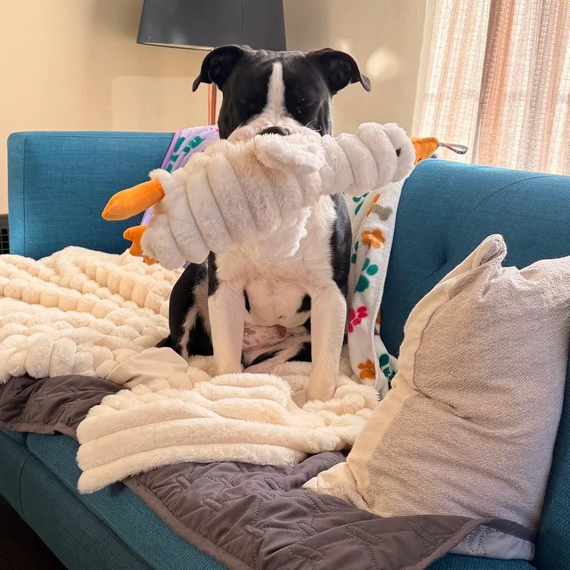 Lil John thumbnail 5