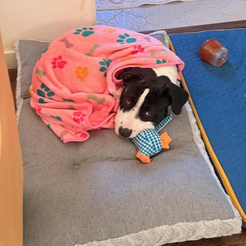 Lil John thumbnail 6