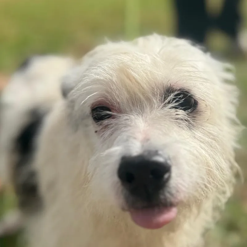 Flora Mae thumbnail 2