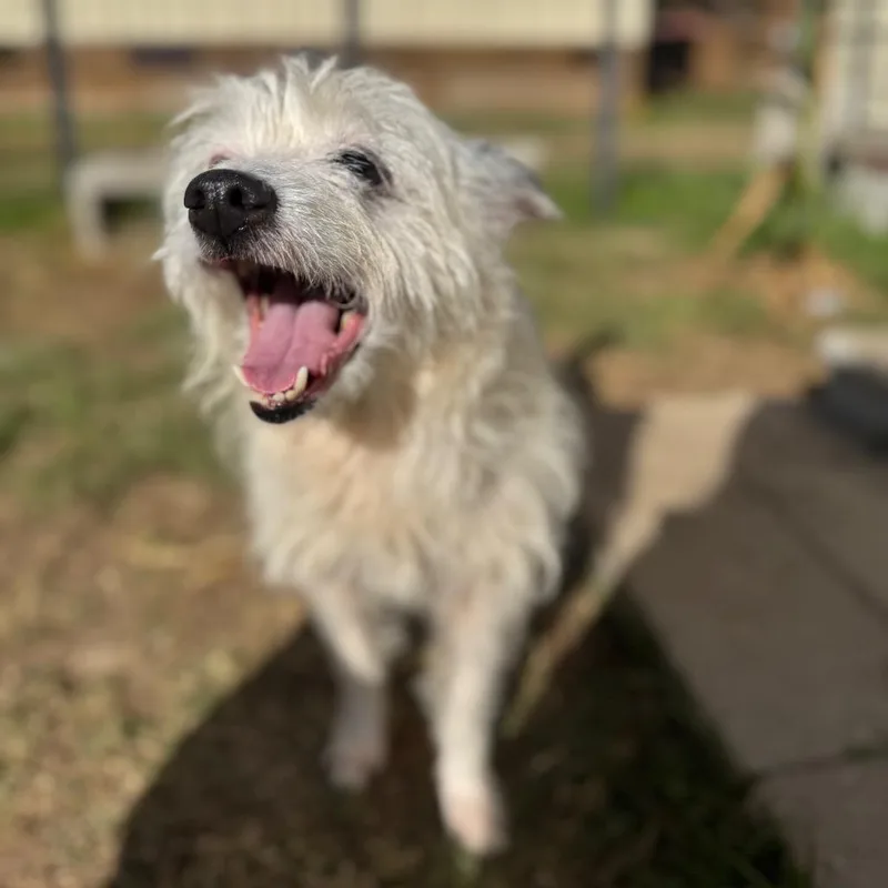 Flora Mae thumbnail 3