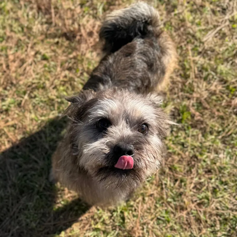 Rocky Creed thumbnail 3