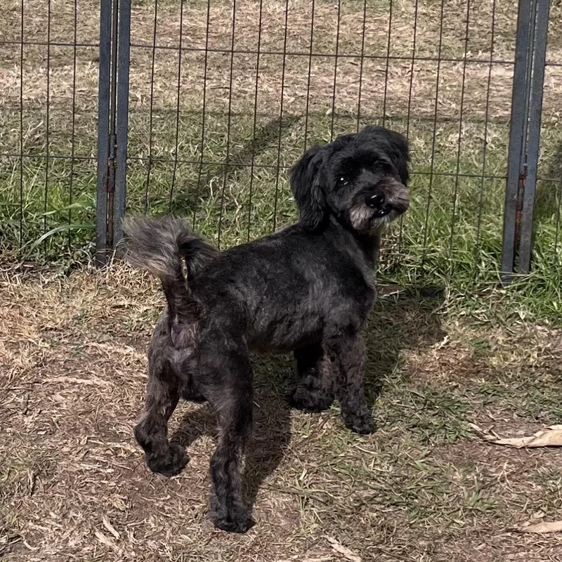 Tucker Liam thumbnail 2