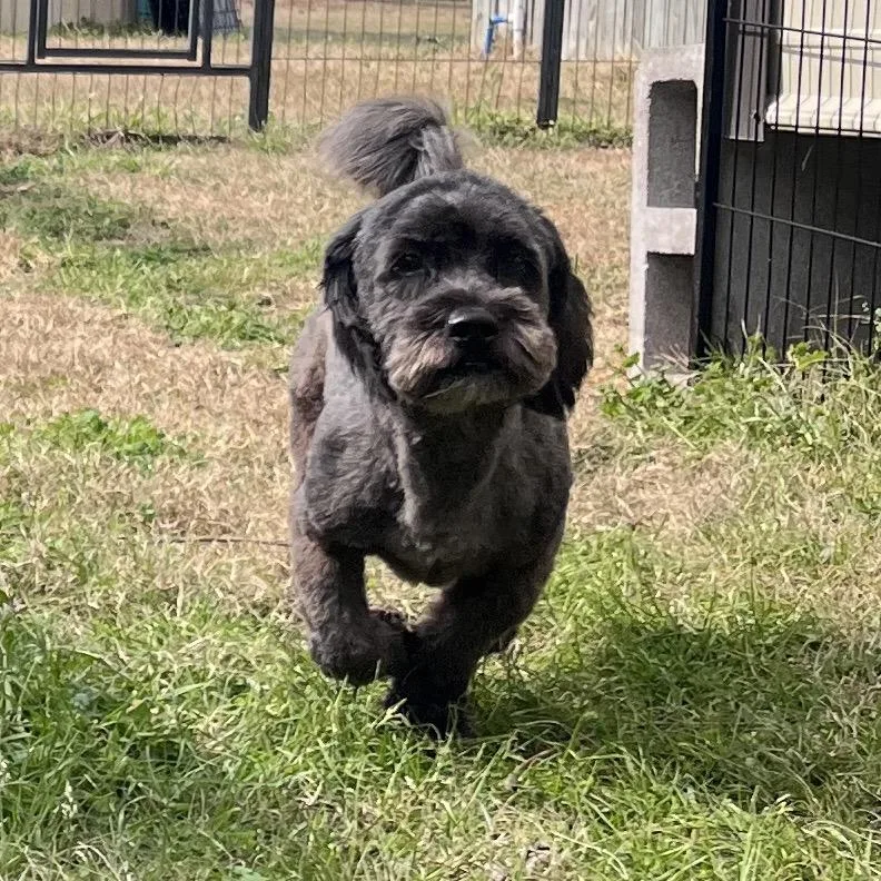 Tucker Liam thumbnail 3