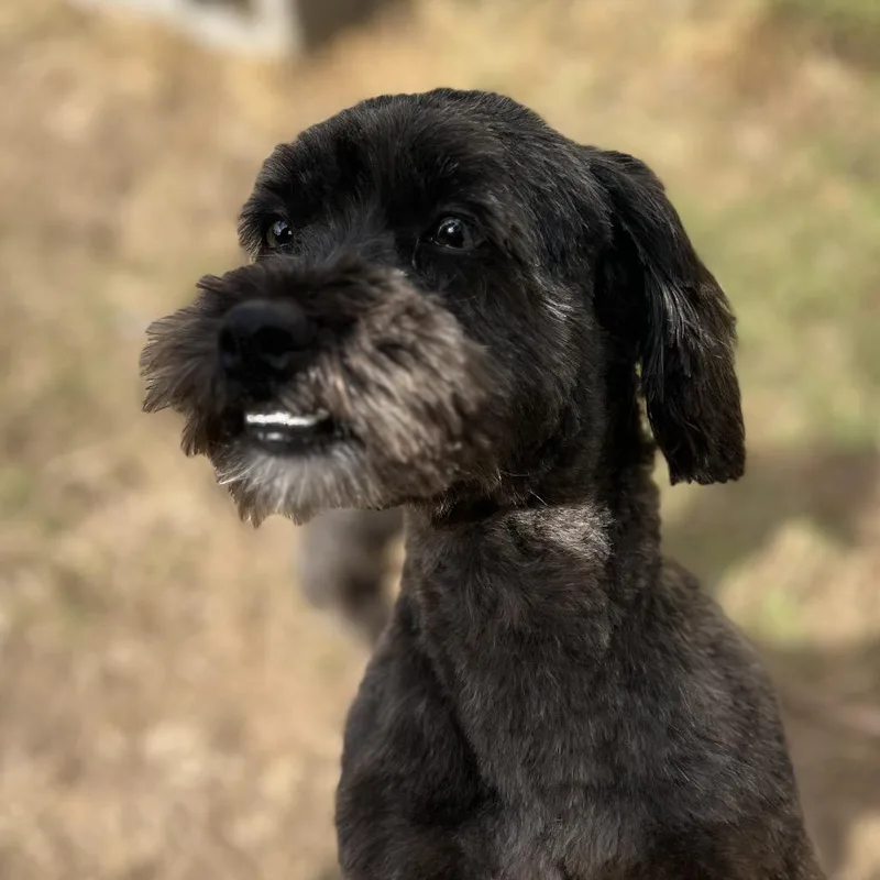 Tucker Liam thumbnail 4