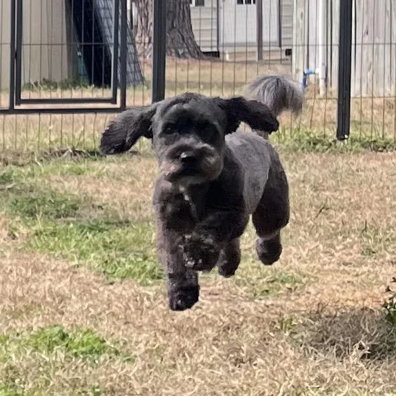 Tucker Liam thumbnail 5