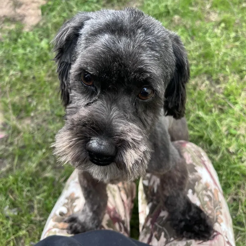 Tucker Liam thumbnail 6