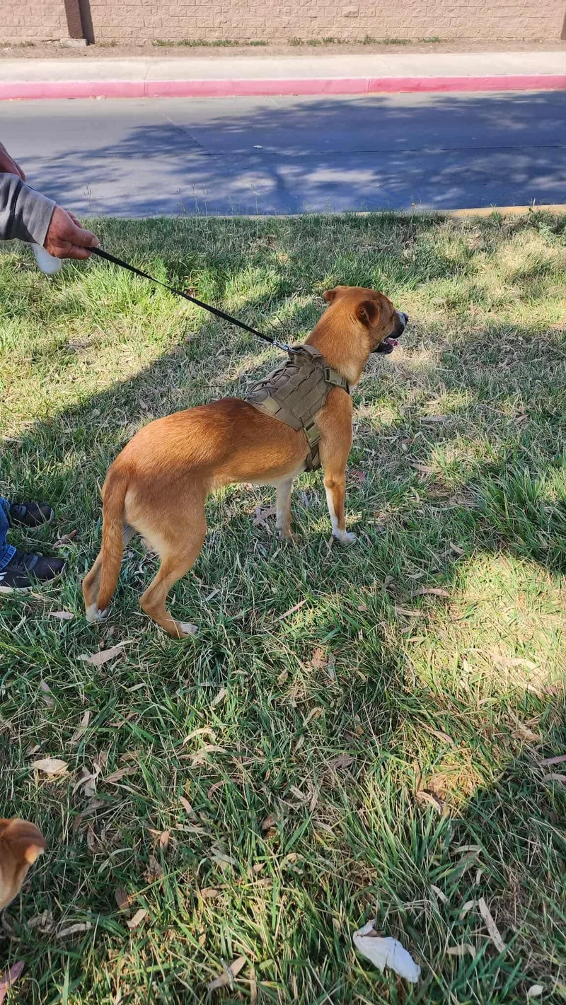 Valentin thumbnail 2