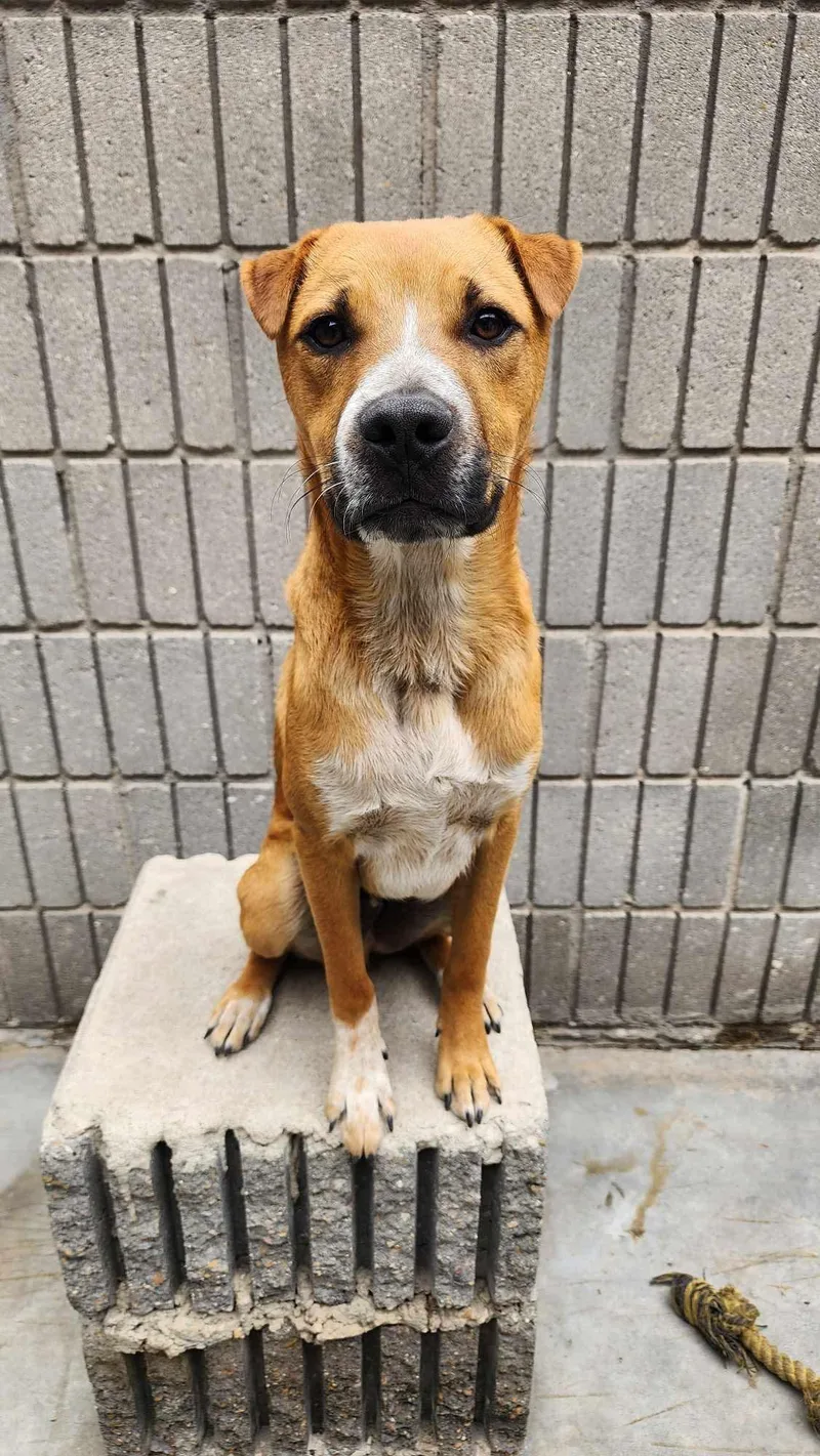 Valentin thumbnail 5