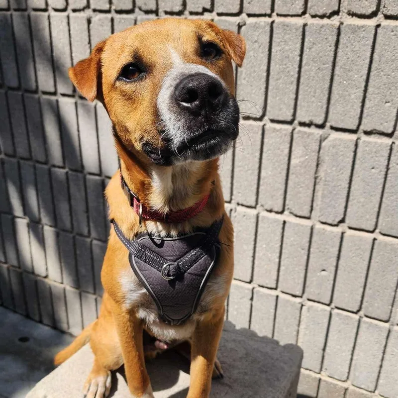 Valentin thumbnail 6