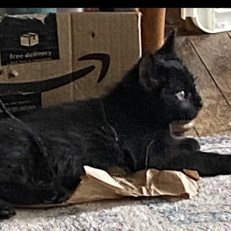 Mommypoeplus One thumbnail 2