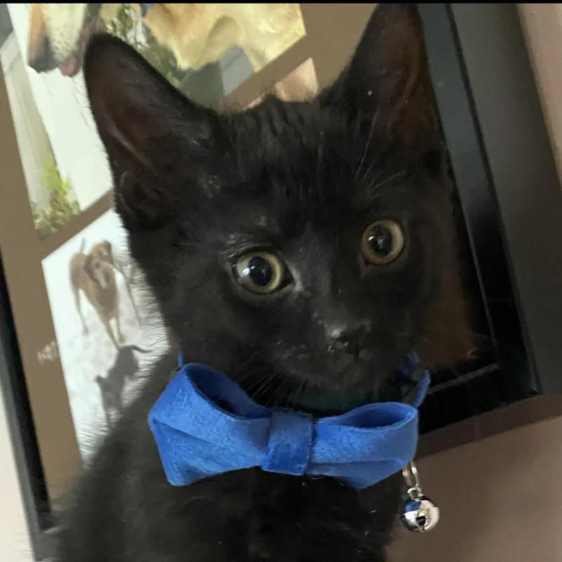 Mommypoeplus One thumbnail 3