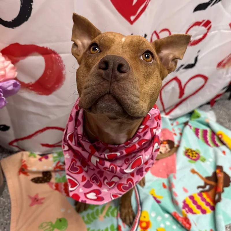 Ruby Rousey thumbnail 2