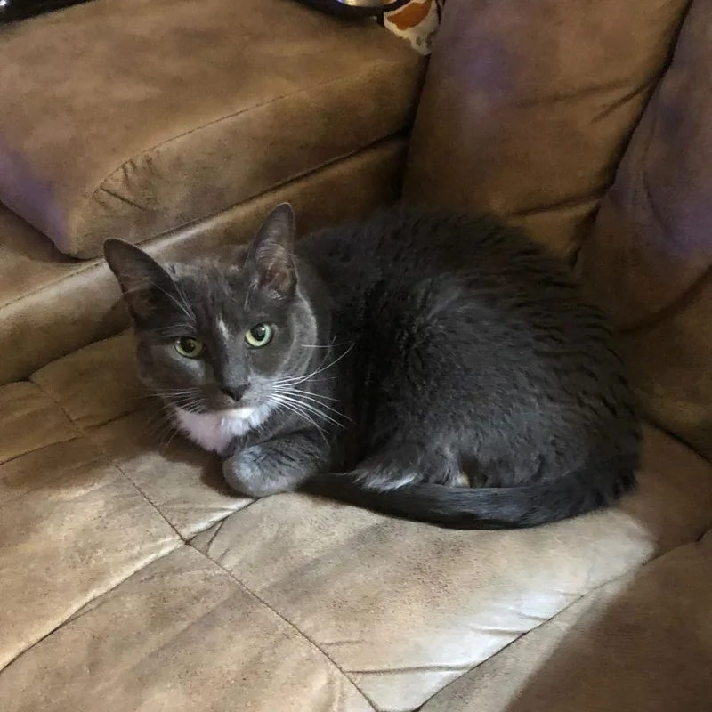 Boots Iv thumbnail 3