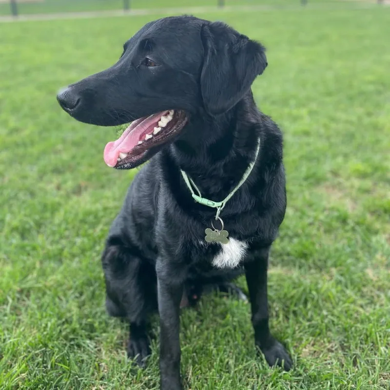 Midnight Train thumbnail 2