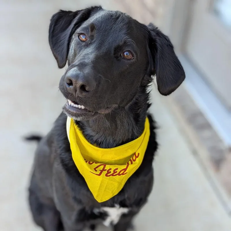 Midnight Train thumbnail 3