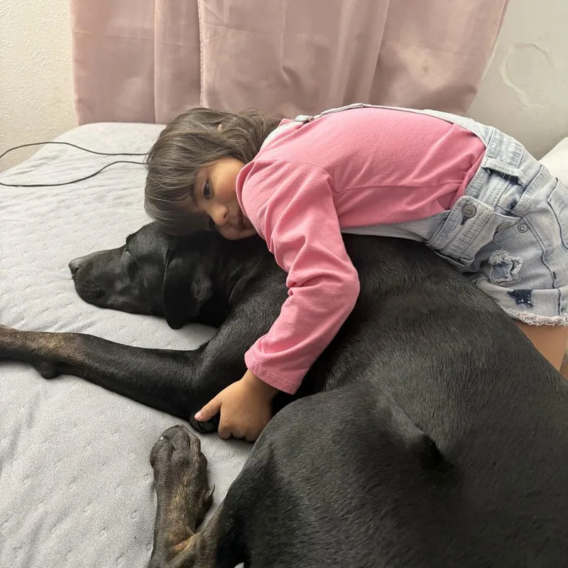 Mollie Ii thumbnail 3