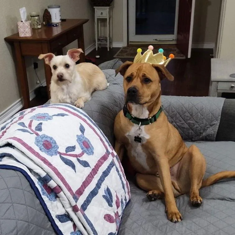 Markus Aurelius thumbnail 2