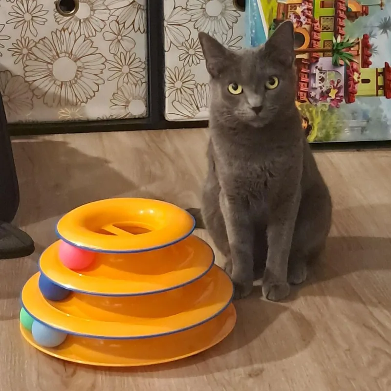 Candy Apple thumbnail 3